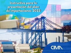 Read more about the article Instructivo para la presentación del plan de Importaciones 2023